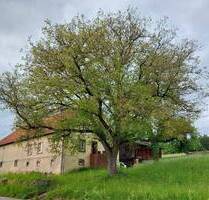 Ehemaliges Bauernhaus mit Scheunenhaus, reichlich Ausbaupotenzial mit herrlichem Grundstück (Doppelhaushälfte) in Blieskastel-Brenschelbach