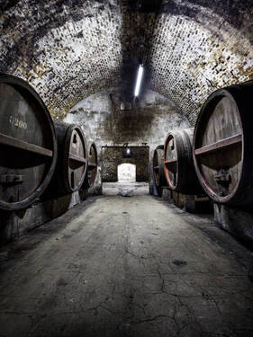 Kellergewölbe (Foto: Peter Litvai) - Einfamilienhaus in Landshut zum Kaufen