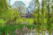 idyllischer Ausblick am Teich - 