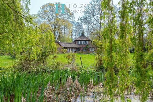 idyllischer Ausblick am Teich - 