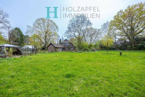 alter Baumbestand - 