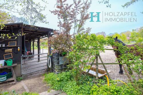 Stall & Pferdeboxen - 