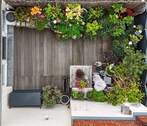 Süd-West Terrasse - 