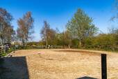 Bild 5 - 