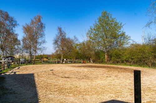 Bild 5 - 