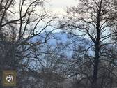 Bergblick_vom_Balkon - 