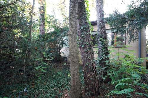 Rückansicht - 7 Zimmer Einfamilienhaus zum Kaufen in Berlin / Frohnau