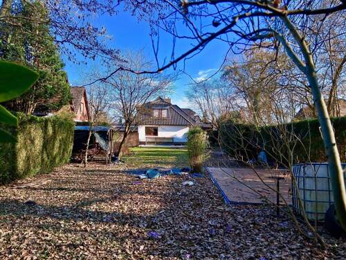 der Frühling kommt - 