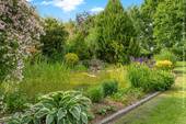 ... und Gartenteich - 