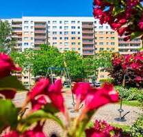 Top-sanierte 1-Raum-Wohnung in schöner Lage - Zwickau Innenstadt