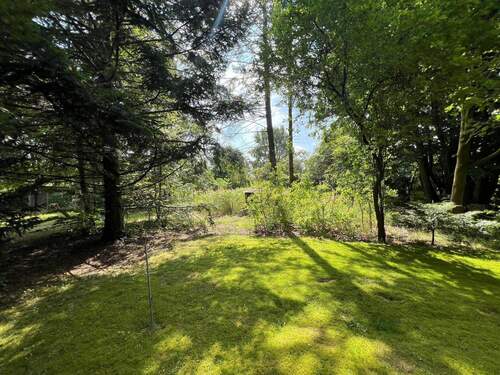 Hinterer Gartenbereich - 