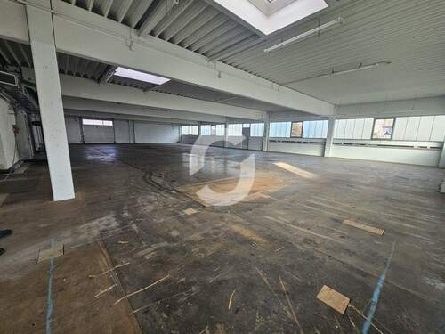 Halle - Halle in Binsdorf