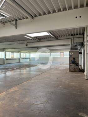 Halle - Halle in Binsdorf zur Miete