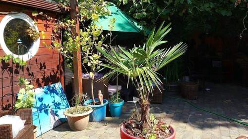 Garten Impressionen - 