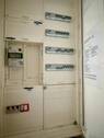 IMG_0961.jpeg - 