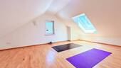 Zimmer DG - 