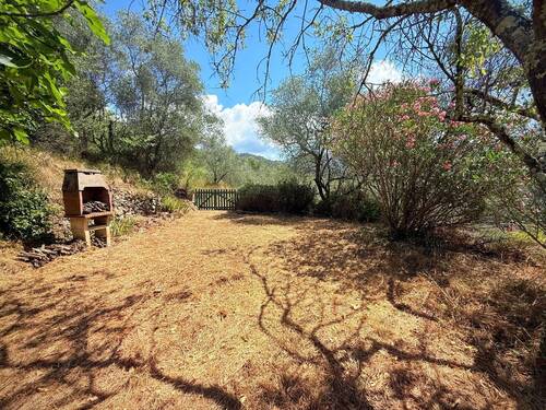 AP_1026_TERRA ITALIA IMMOBILIEN_LIGURIEN_APRICALE_ - 