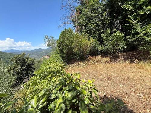 AP_1026_TERRA ITALIA IMMOBILIEN_LIGURIEN_APRICALE_ - 