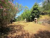 AP_1026_TERRA ITALIA IMMOBILIEN_LIGURIEN_APRICALE_ - 