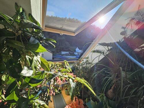 Dachfenster mit Klappbalkon - 