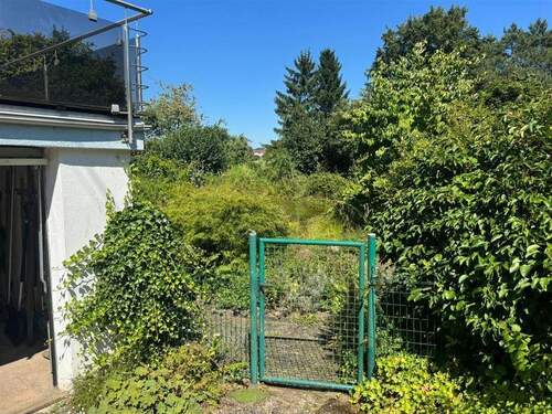 PHOTO-2025-08-09-15-14-00 5 - 