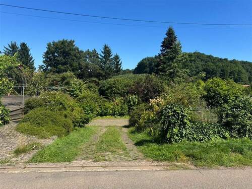 PHOTO-2025-08-09-15-14-00 2 - 