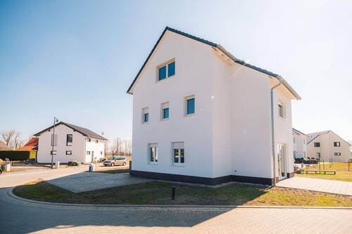 Außenansicht Straße - Sofort Bezugsfertig! Modernes Reihenendhaus mit Top-Ausstattung in Gallen - 2 Monate Mietfrei!
