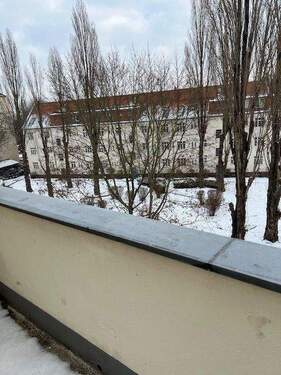 Großer Innenhofgarten im Winter - 