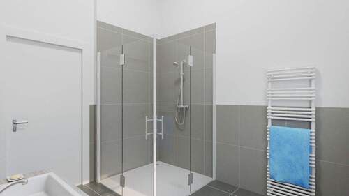 Visualisierung Whg 8 Bad Dusche - 