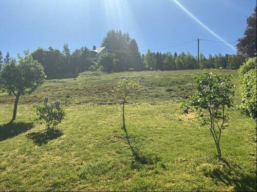 Garten - 
