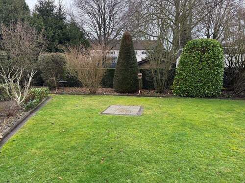 Gemeinschaftsgarten - 