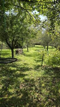 Obstbäume - Grundstück in Kandern zum Kaufen