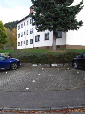 PKW-Stellplatz Nr.9 - 