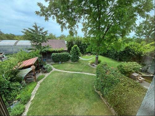 Blick in den Garten - 