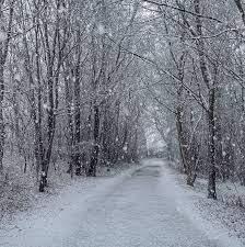 images.jpg - Charmantes Baugrundstück am Schweriner See :-)