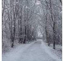 Charmantes Baugrundstück am Schweriner See:-) - Bad Kleinen