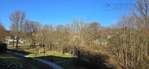 Wupperauen hinter dem Haus - 