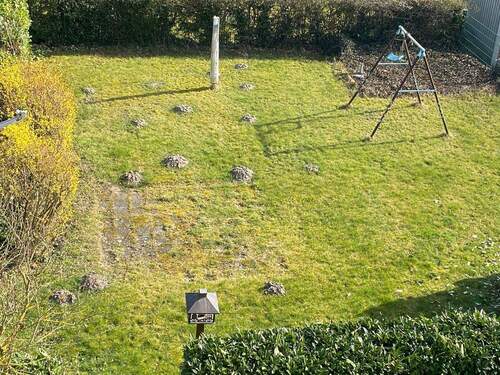 IMG_1450.jpeg - 3 Zimmer Etagenwohnung zur Miete in Hamm