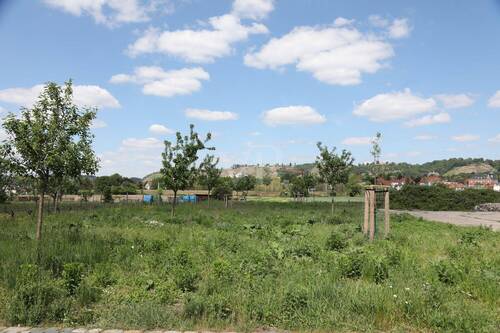 Blick auf die Weinberge - 
