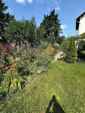 IMG-20250625-WA0207.jpg - 