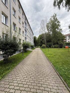 PHOTO-2025-07-23-17-45-35_3 - 