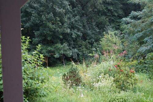 Blick von der Terrasse - 