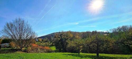 Blick auf das Grundstück - Hösbach-Rottenberg: Wunderschönes Baugrundstück an Bebauungsgrenze mit Naturblick