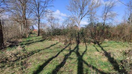 Ansicht - Grundstück in Machern