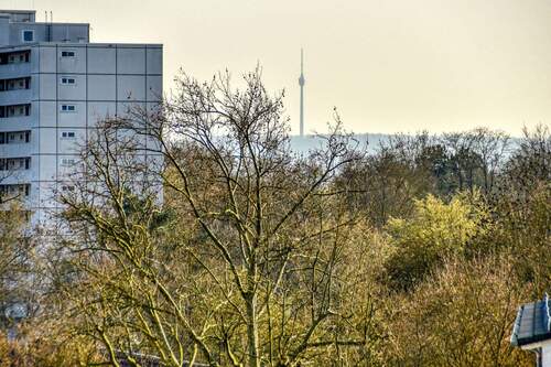 Fernblick zum Fernsehturm - 