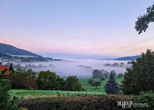 Blick nach Freiburg im Nebel.jpg - 6 Zimmer Einfamilienhaus in Wittnau