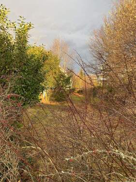 IMG_8644.JPG - Grundstück in Langenargen zum Kaufen