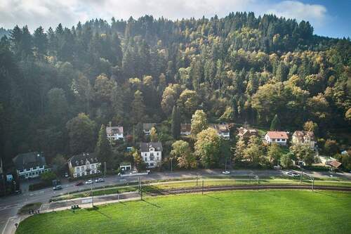 Drohne Über dem Haus 4.jpg - 2 Zimmer Büro in Freiburg im Breisgau