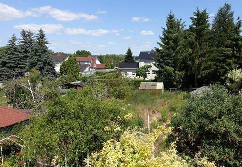 Blick in den Garten - 