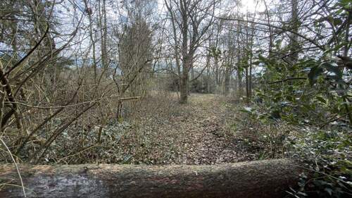 hinterer Gartenbereich - Einfamilienhaus mit 138,00 m&sup2; in Norderstedt zum Kaufen